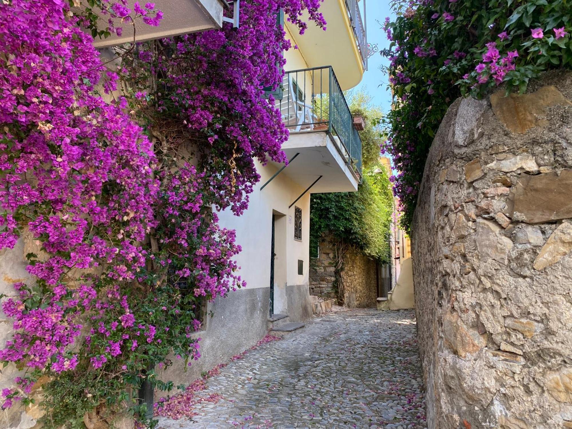 La Finestra Sul Borgo Bed and Breakfast Cervo Buitenkant foto